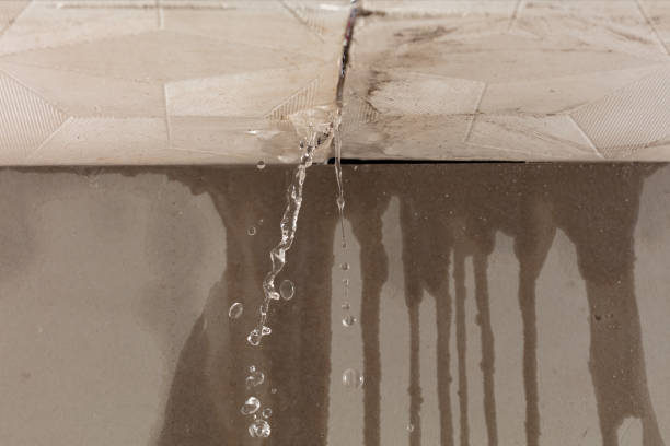 Professional Structural Drying technician working in Darien, GA